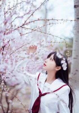 电影网在线观看_超清HD高清在线观看
